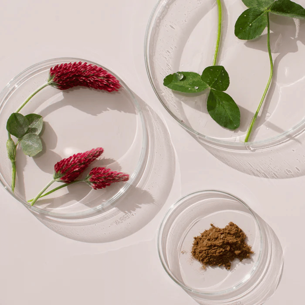Menopause Awareness Month: Understanding and Supporting Your Journey