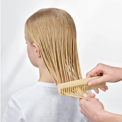 Phyto SOFTNESS  Express Detangle Milk 150ml