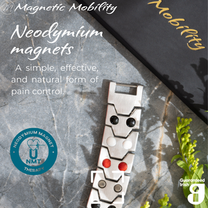 
                  
                    Load image into Gallery viewer, Aster Star Double strength 4in1 magnetic bracelet from Magnetic Mobility, highlighting neodymium magnets which offer a simple, effective, and natural form of pain control. Perfect for alleviating arthritis, back pain, fibromyalgia, and more.
                  
                