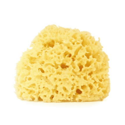 Anewmum – Natural Honeycomb Sea Sponge