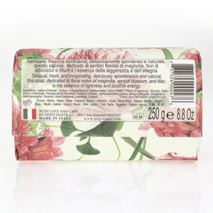 
                  
                    Load image into Gallery viewer, Nesti Dante Dolce Vivere Pisa Soap 250g Back
                  
                