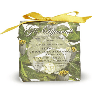 
                  
                    Load image into Gallery viewer, Nesti Dante Gli Officinali  Ivy &amp;amp; Clove Soap 200g
                  
                