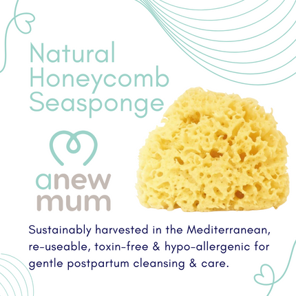 Anewmum – Natural Honeycomb Sea Sponge