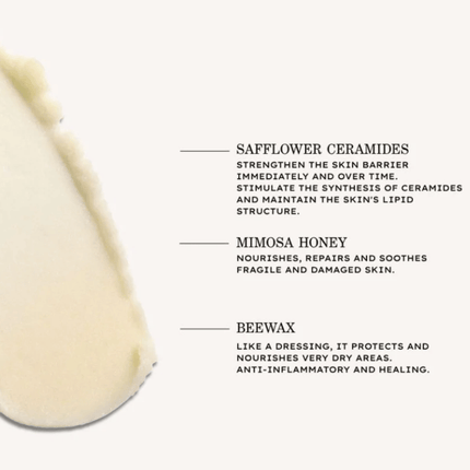 Payot Source Nourishing Face Balm 20g