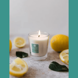 
                  
                    Load image into Gallery viewer, Purcell &amp;amp; Woodcock Lumiere - Lemon Verbena Candle
                  
                