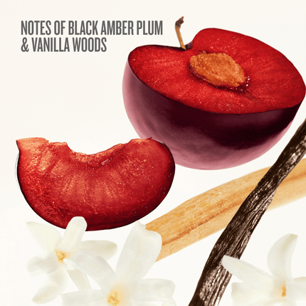 Sol de Janeiro Make a Bright Entrance Gift Set