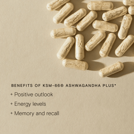 Wild Nutrition KSM-66® Ashwagandha Plus 60 Caps