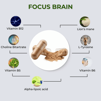 fabU Focus Brain