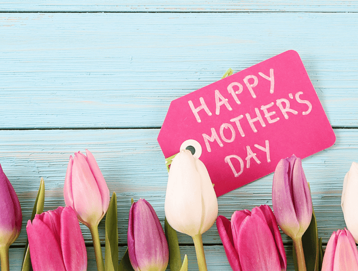 <h1><em>15th March</em></h1>