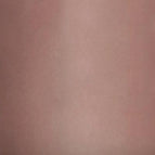 #48 - Bare Beauty