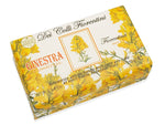 Nesti Dante Soap Dei Colli Florentini Broom Soap 250g